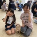 ドッグトレーナーとして犬と向き合う！小学生お仕事体験レポート｜名古屋