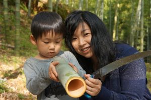 桑名でタケノコ狩り