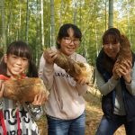 桑名でタケノコ狩り