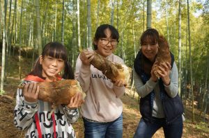 桑名でタケノコ狩り