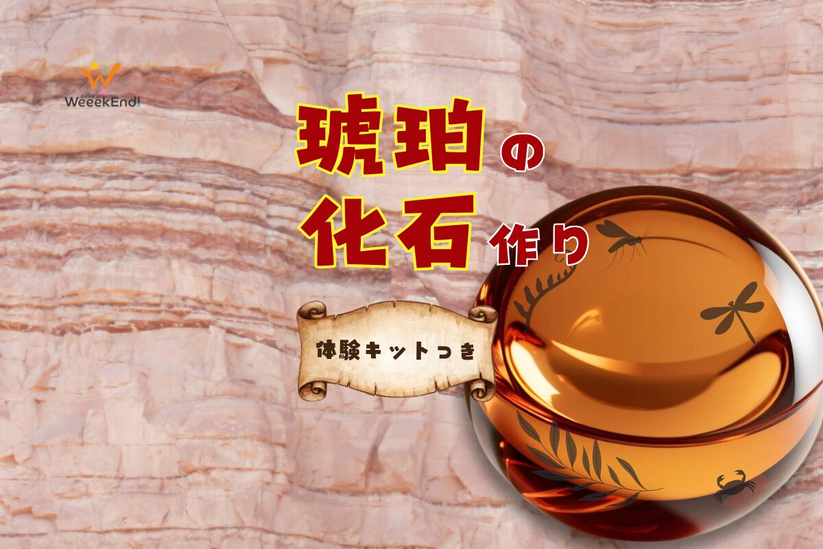 オンライン｜【体験キット付き】サイエンスでタイムカプセル！琥珀の